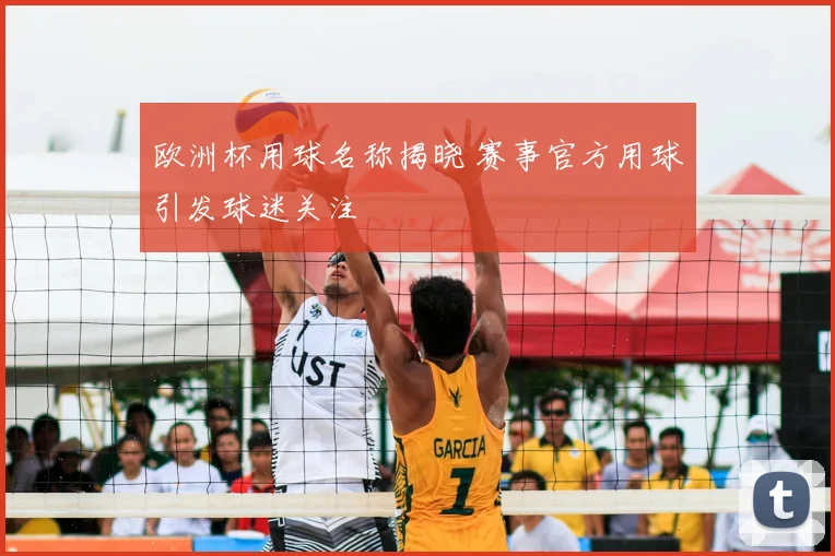 欧洲杯用球名称揭晓 赛事官方用球引发球迷关注