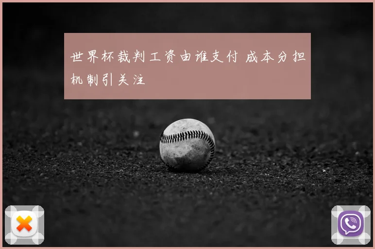 世界杯裁判工资由谁支付 成本分担机制引关注