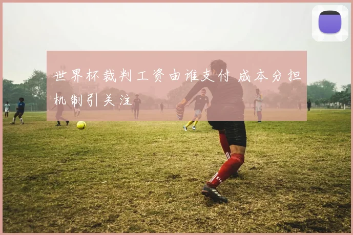 世界杯裁判工资由谁支付 成本分担机制引关注